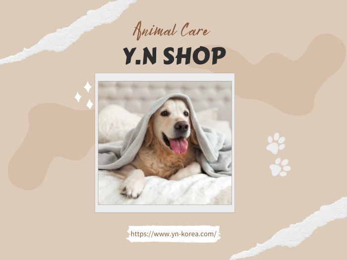 韓國寵物商品代購推薦：你不可不知的 Y.N 5 大優勢👍️👍️
